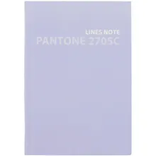 Купить Записная книжка А6+ 80л лин. "Pantone line. 5" интегр.переплет, мат.ламинация, выб.лак, пантон.печать — Фото №1