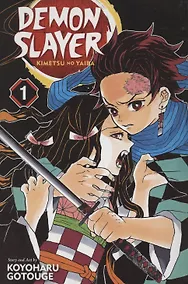 Купить Demon Slayer: Kimetsu no Yaiba, Vol. 1 — Фото №1