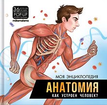 Купить Моя энциклопедия. Анатомия. Как устроен человек? — Фото №1