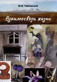 Купить Взаимосвязи жизни. Миниэнциклопедия дополняет. Том 2. Р–Я и добавочные сведения — Фото №1