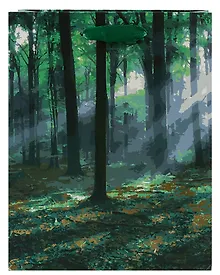 Купить Пакет А5 23*18*10 "Утренний лес" нейтр., бум.мат — Фото №1