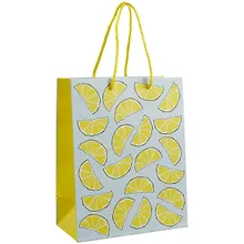 Купить Пакет А5 23*18*10 "Лимоны.Basic" нейтр., бум.мат.ламинат — Фото №1