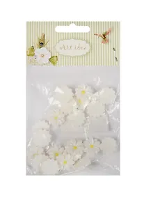 Купить Цветы ромашки (В7169) в пакете, 20 шт,  белый (11-08631-39) — Фото №1