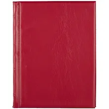 Купить Альбом для монет, 120 ячеек, 19.5 х 25.5 см — Фото №1