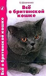 Купить Все о британской кошке — Фото №1