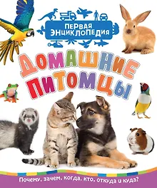 Купить Домашние питомцы — Фото №1