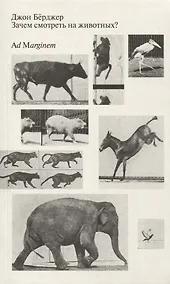 Купить Зачем смотреть на животных? — Фото №1