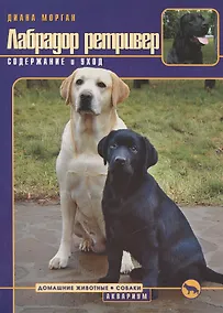 Купить Лабрадор ретривер. Содержание и уход — Фото №1