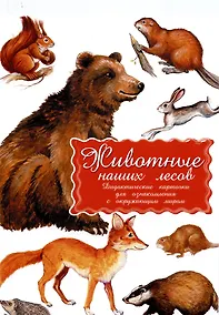 Купить Животные наших лесов. Дидактические карточки для ознакомления с окружающим миром — Фото №1