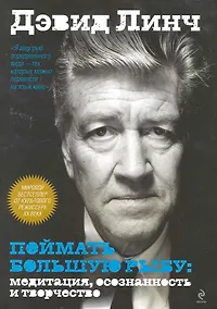 Купить Поймать большую рыбу: медитация, осознанность и творчество — Фото №1