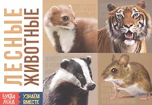 Купить Обучающая книга «Лесные животные» — Фото №1