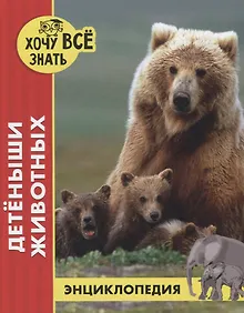 Купить Детеныши животных. Энциклопедия — Фото №1