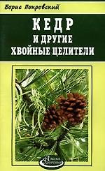 Купить Кедр и другие хвойные целители — Фото №1