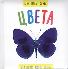 Купить Мои первые слова. Фото-книга. Цвета МИНИ — Фото №1