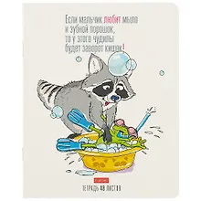 Купить Тетрадь в клетку Hatber, "Прикольный енот", 48 листов, в ассортименте — Фото №1