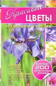 Купить Красивые цветы на вашем участке — Фото №1