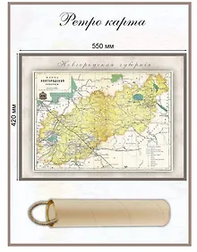 Купить Карта-ретро Новгородской губернии, состояние на 1897 г. — Фото №1