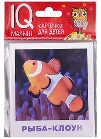 Купить Умный малыш. Обитатели морей и океанов — Фото №1