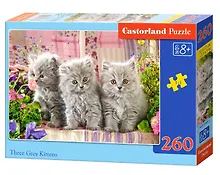 Купить Пазл Серые котята MIDI Castorland 260 элементов — Фото №1
