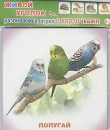 Купить Обучающие карточки Живой уголок (упаковка) (978-5-91282-671-9) — Фото №1