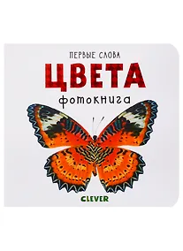 Купить Первые слова. Цвета. Фотокнига — Фото №1