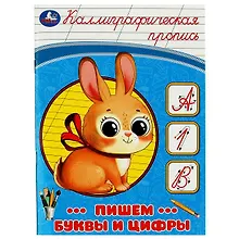 Купить Каллиграфическая пропись. Пишем буквы и цифры — Фото №1