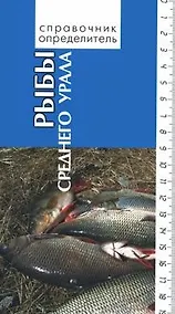 Купить Рыбы среднего Урала (Справочник-определитель). Богданов В. (Сократ) — Фото №1