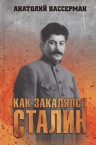 Купить Как закалялся Сталин — Фото №1