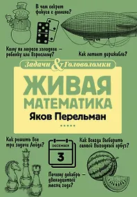 Купить Живая математика — Фото №1