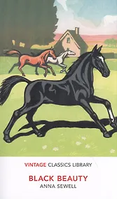 Купить Black Beauty — Фото №1