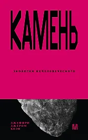 Купить Камень. Экология нечеловеческого — Фото №1