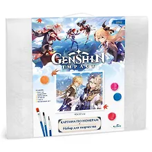 Купить Картина для раскрашивания по номерам. Геншин. Снежная тень. 40х50 см — Фото №1