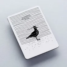 Купить Сувенир, Магнит 60x80 Чайка, 1059951 — Фото №1