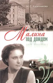 Купить Малина под дождем — Фото №1