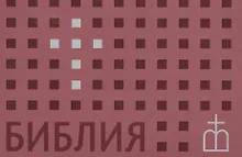 Купить Библия. Книги Священного Писания Ветхого и Нового завета — Фото №1