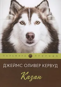 Купить Казан — Фото №1