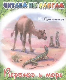 Купить Верблюд и море — Фото №1