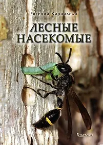Купить Лесные насекомые — Фото №1