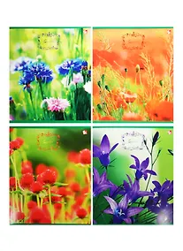 Купить Тетрадь в клетку Unnika, "Живописные цветы", 80 листов, в ассортименте — Фото №1