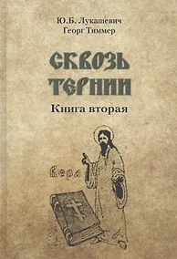Купить Сквозь тернии. Книга вторая. Епископ Роттердамский Дионисий (Лукин) и его роль в распространени православия в Голландии — Фото №1
