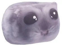 Купить Антистресс Хомяк Мем (24х17) — Фото №1