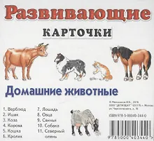 Купить Домашние животные — Фото №1