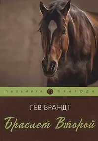 Купить Браслет Второй: повесть — Фото №1