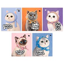 Купить Тетрадь 96л кл. "Pure Cuteness" пласт.обложка, печать, выб.лак, ассорти — Фото №1