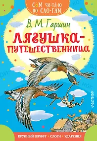Купить Лягушка-путешественница — Фото №1