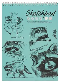 Купить Скетчбук А4 40л "Енот-полоскун" белый офсет, 80г/м2, тв.обложка, спираль — Фото №1