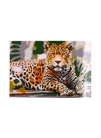 Купить Набор ТМ Рыжий Кот Раскраска на картоне A4 Ягуар в джунглях (Арт. Р-2387) — Фото №1