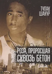 Купить Роза, проросшая сквозь бетон — Фото №1