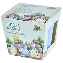 Купить Набор д/выращивания растений Магия цветов, Литопсы микс (живые камни) (mf-004) — Фото №1