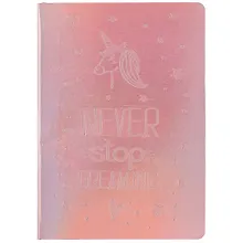 Купить Книга для записей в линейку «Dreaming», розовый, B6, 80 листов + 48 наклеек — Фото №1